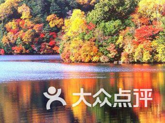 牛头梗和比特犬哪个厉害，能详细介绍一下吗游戏画面